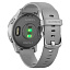 smart Часы Garmin vivoactive 4s серые с серебристым безелем