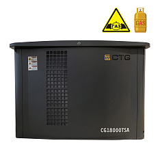 CTG CG18000TSA - газовый генератор